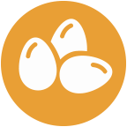 Huevos