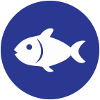 Pescado